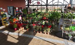 Yeni yılın renkleri ABB bitki evlerinde vatandaşla buluşuyor