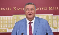 Gürer: Hamsi bir hafta 70, ertesi hafta 140 TL