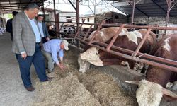 CHP’li Gürer: Asgari ücret cebe girmeden et fiyatı arttı