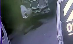 Avcılar'da 40 bin liralık elektrik ekipmanı hırsızlığı kamerada