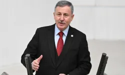 Özdağ: ‘Türk tipi’ cumhurbaşkanlığı hükümet sistemi iktidara özgüdür