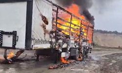 Kağıt yüklü TIR'ın dorsesi alev alev yandı