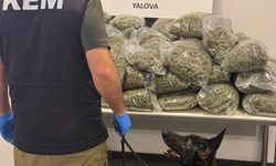 Limandaki TIR'da 23 milyon lira değerinde 37,7 kilo uyuşturucu ele geçirildi; 5 gözaltı