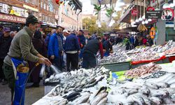 Kış geldi başkentte balığa ilgi arttı