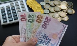 Kasımda en çok hangi yatırım aracı kazandırdı?