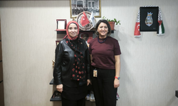 Taciz skandalı sorunun ne kadar yaygın olduğunun göstergesi