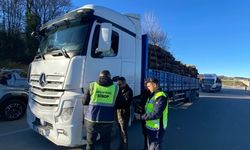 OGM'den kaçak kesimlere karşı 7/24 koruma