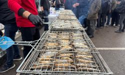 Ordu’da hamsi festivali, 7 ton hamsi ikram edildi