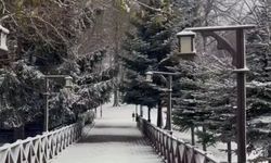 Ordu’nun yüksekleri beyaza büründü