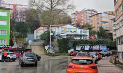 Park halindeyken hareket eden kamyonetin çarptığı anaokulu öğrencisi Sarp, öldü