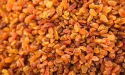 Türkiye, dünyanın kuru üzüm ihracatının yüzde 30’unu karşılayacak