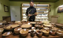 Bilim köye taşındı: 12 bin yıllık miras Iza buğdayının serüveni Mengen’de anlatıldı