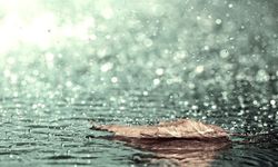 Rüyada Su, Sel ve Yağmur Görmek Ne Anlama Gelir?  Rüya Yorumları