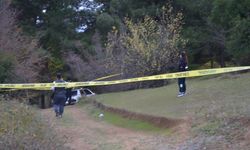 Samsun'da kısa süre önce boşanan çift otomobilde ölü bulundu