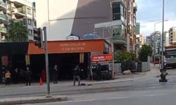 Sürücüsünün geri manevra yaptığı kamyonetin çarptığı Nisanur, öldü