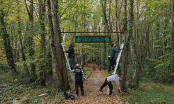Ormanda sincaplar için köprü yaptılar