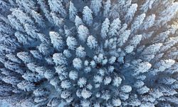 Beyaz örtüyle kaplanan Küre Dağları dron ile görüntülendi