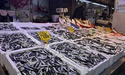 Trabzon'da hamsi ve istavrit 100 liradan satılıyor