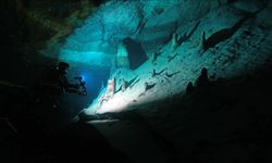 Doğu Akdeniz'in derinliklerine inen dalgıçlar canlıların renkli dünyasını görüntüledi