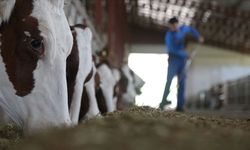 Suni tohumlama yoluyla besilik materyal üretiminin artırılması için protokol imzalandı