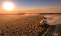 Üreticilere IPARD-III Programı kapsamında kasım döneminde 376,8 milyon lira ödendi