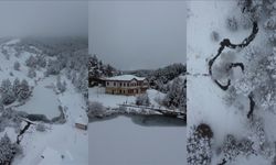 Erzincan'daki Dumanlı Tabiat Parkı beyaza büründü