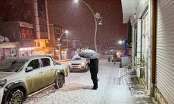 Van'da kar etkili oldu