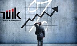 TÜİK: Girişimlerin yüzde 39,6'sı yenilik faaliyetinde bulundu