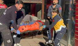 Veterineri tabanca ile vurup, kaçtılar