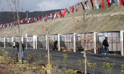 Yenimahalle’nin sokaktaki canlarına yeni yuva