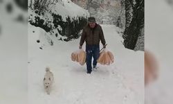 Yolu kar nedeniyle kapanan köyüne ekmek taşıdı