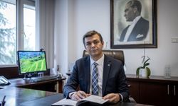 Okul öncesi eğitim, akran zorbalığını azaltmada "kilit rol" oynayabilir