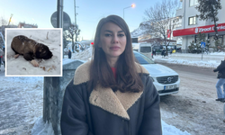 Yavru köpeğe eziyete tutuklama