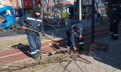 Sincan Belediyesi’nden çevreye estetik dokunuşlar