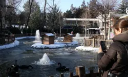 Ankara'da Kuğulu Park havuzu ve Eymir Gölü buz tuttu