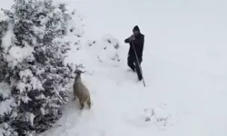 Dronuna tüfek doğrultulan fotoğrafçı: Ateş etse vurabilirdi