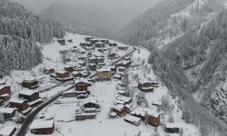 Ayder’de sömestir ve festival yoğunluğu