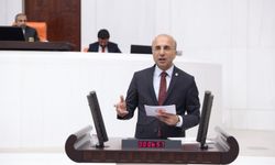 CHP’li Aşkın Genç: Emekliye bin 60 lira, faize günde 5.6 milyar lira