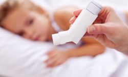 'Ev tozu akarı çocuklarda astımı tetikliyor'