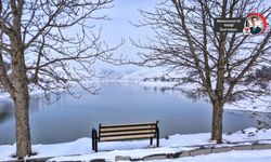 Yağışlar başkentin barajlarına can verdi