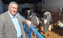 Gürer: Buzağılar bile hacizli!