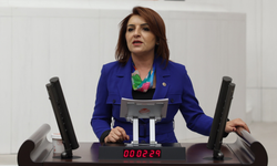 CHP’li Gülcan Kış: AKP 2025’te bütçeyi deldi, 2026’ya yüzde 35 zamla giriyor