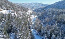 Küre Dağları Milli Parkı'ndan kar manzarası