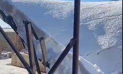 Mardin’de ahır çöktü: 10 koyun öldü