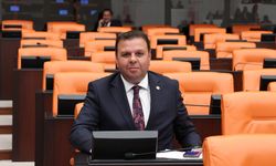 CHP’li Ün: İthalatçı hayvancılık politikaları süt üretimini çökertti