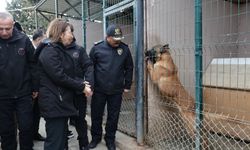 OMÜ tarafından yetiştirilen görev köpeği Pars, şehrin güvenliğinde görev alacak