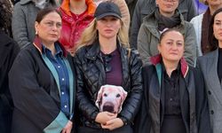 Otomobilin çarptığı köpek Çinko'nun sahibi: Tüm zulüm gören hayvanlar için emsal karar bekliyoruz