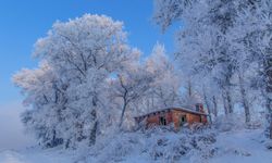 Ocak ayının anlamı nereden geliyor?