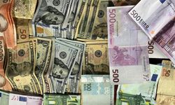 Dolar ve euro yükselişte