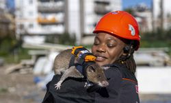 Sırt çantalı 'Kahraman fareler' enkaz altında nefes arayacak